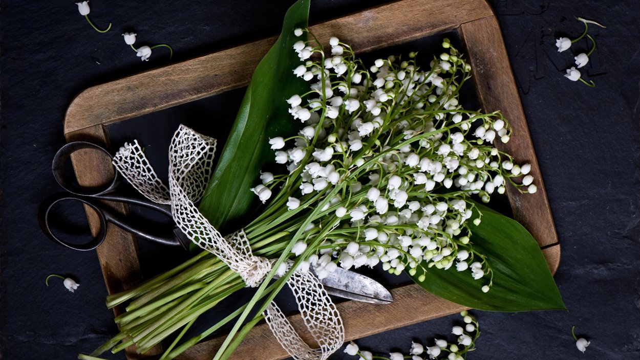 Ваза с подснежниками