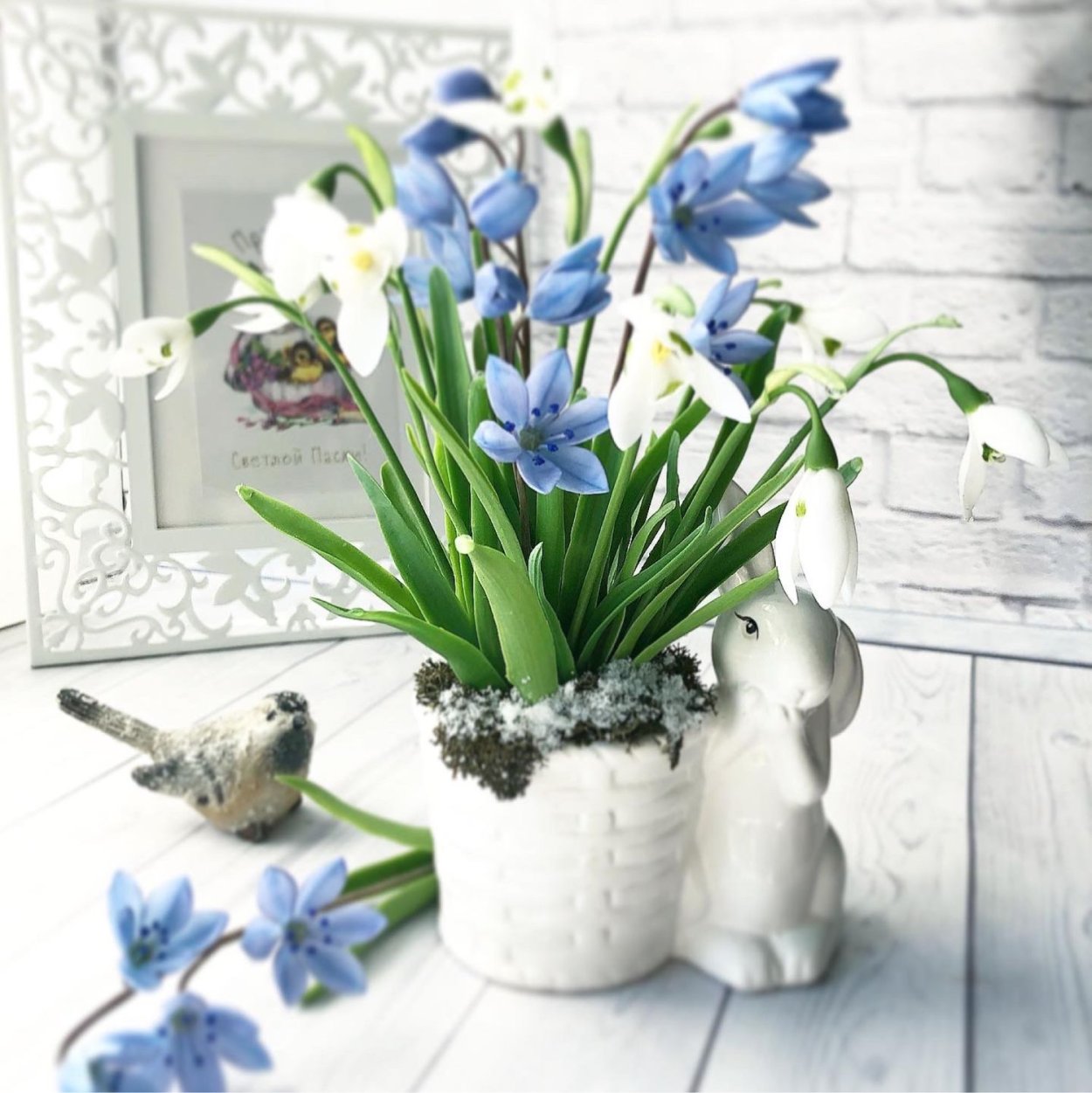 Выгонка пролески