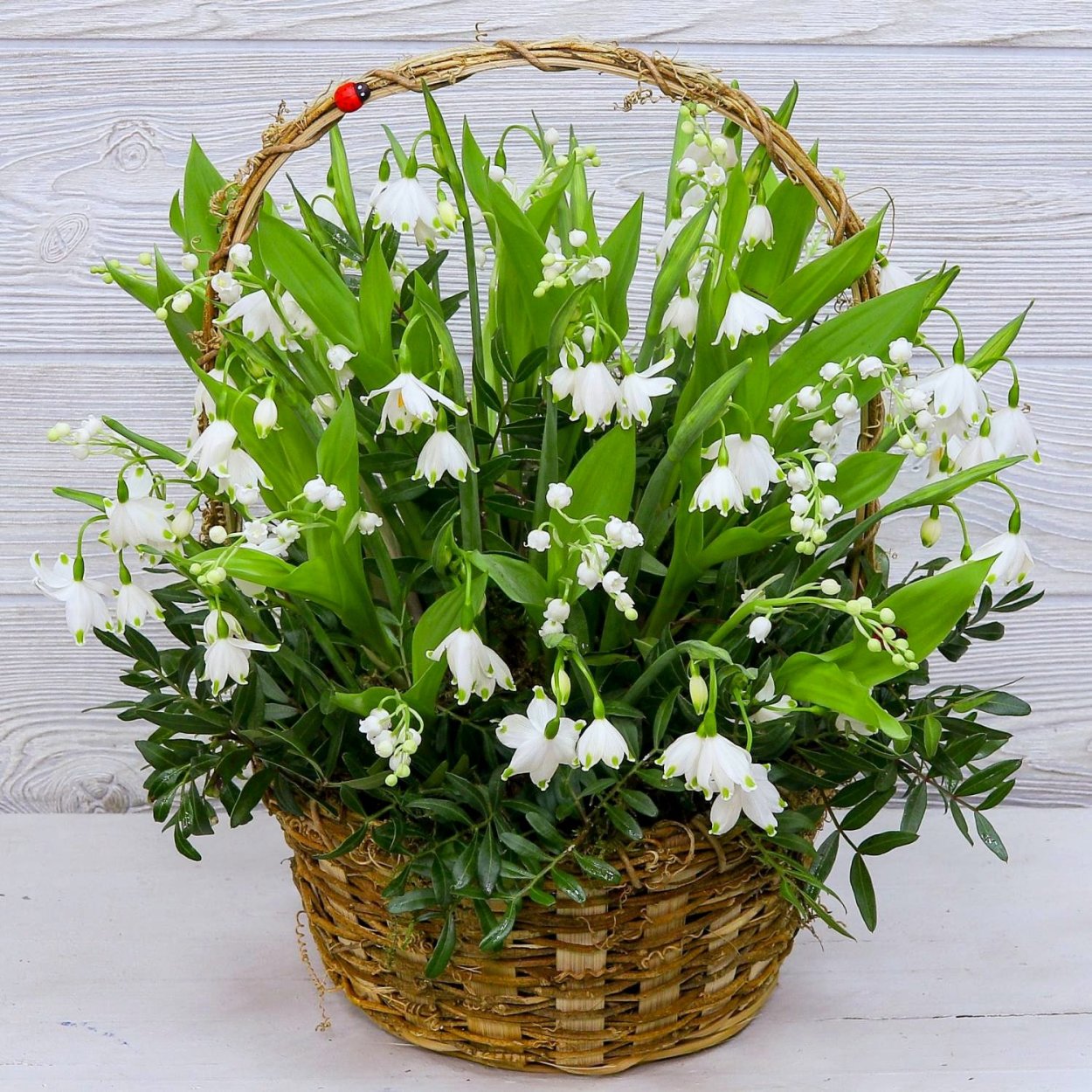 Весенние цветы Ландыши