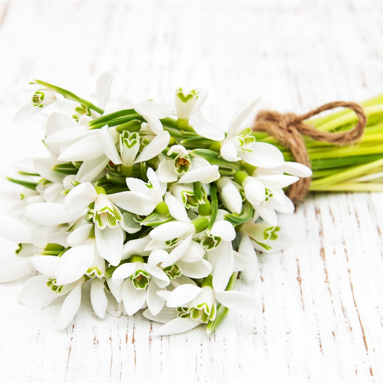 Подснежники в корзине