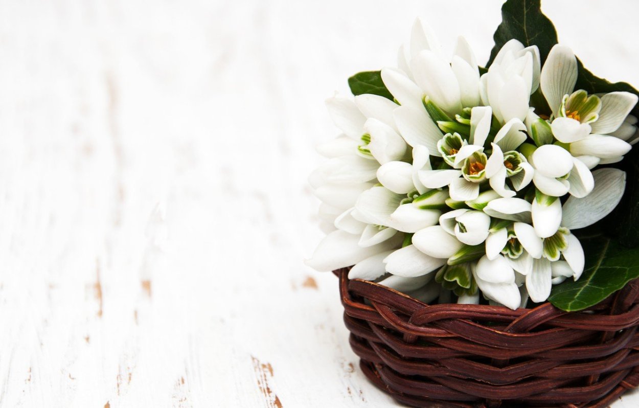 Букет подснежников