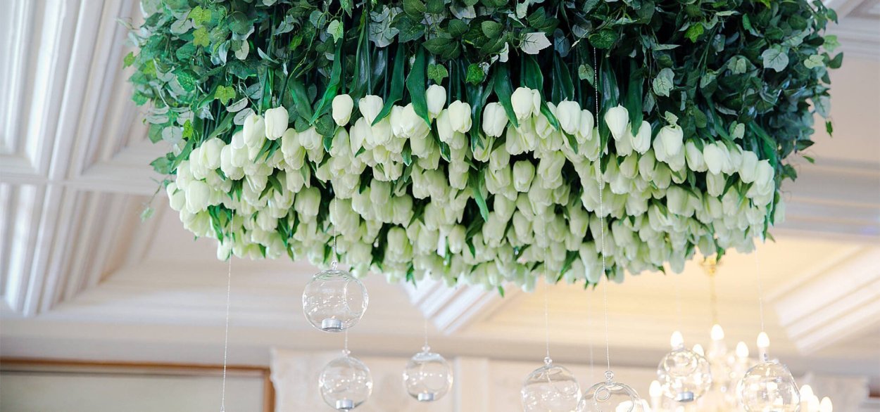 Крестовник Роули подвесное