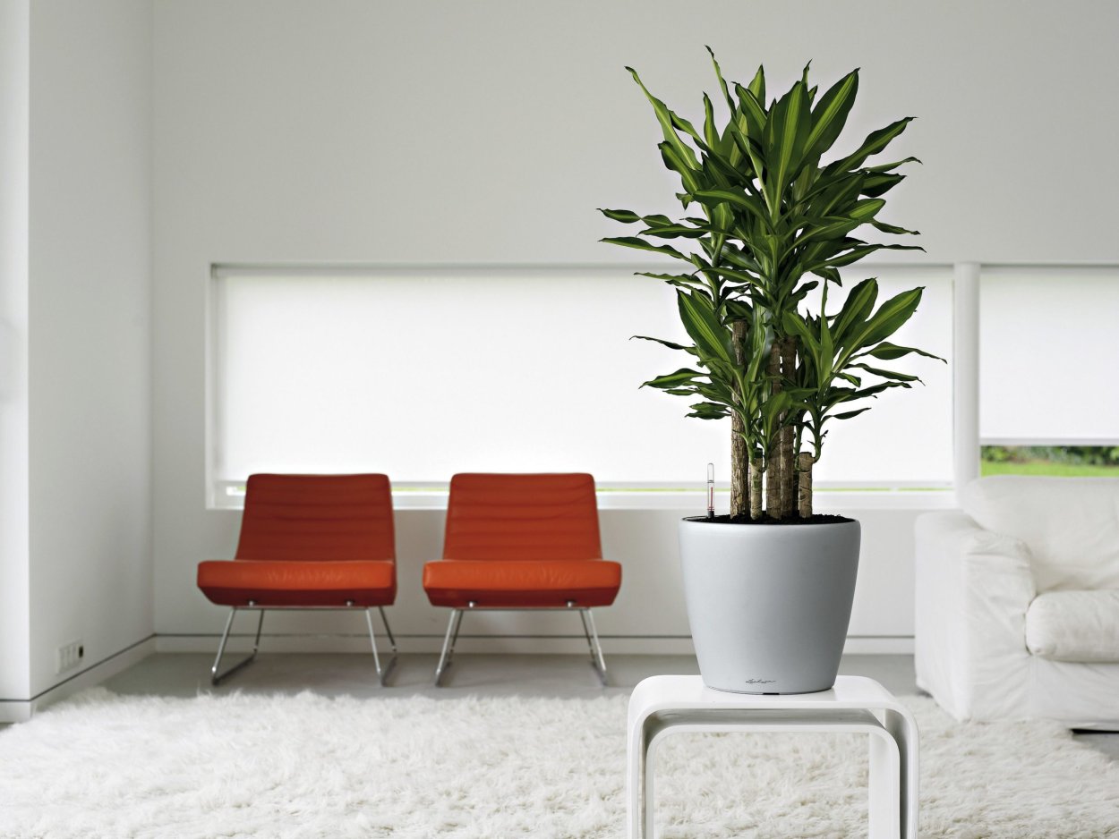 Искусственные цветы