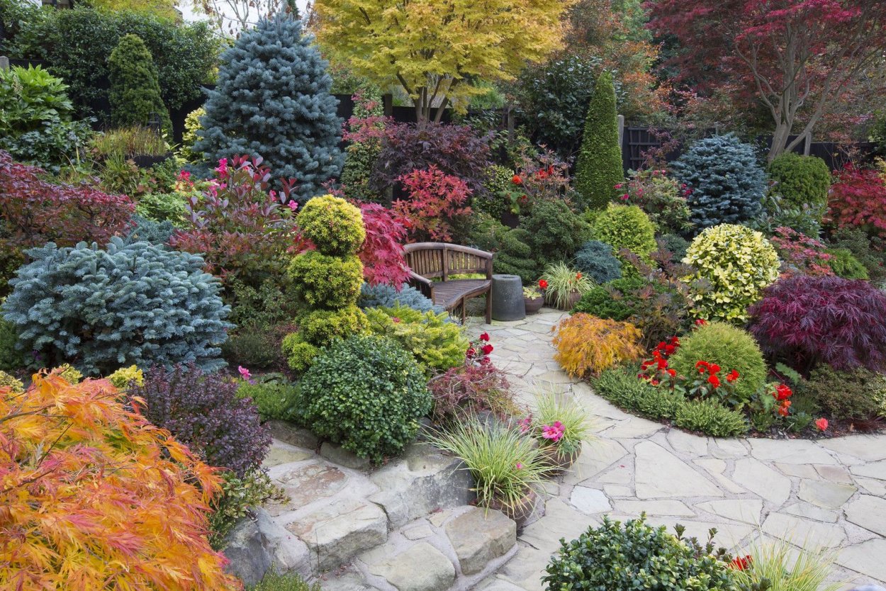 Овощной миксбордер