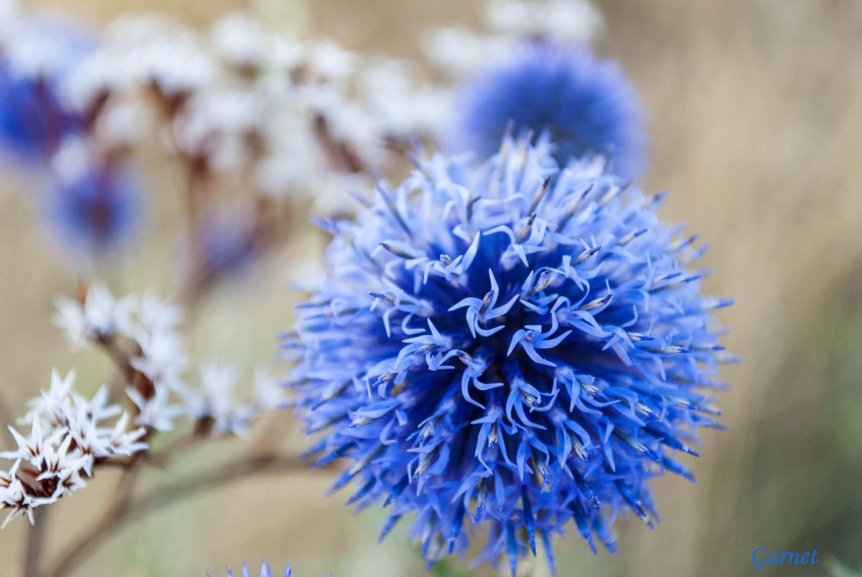 Цвет настроения синий картинки