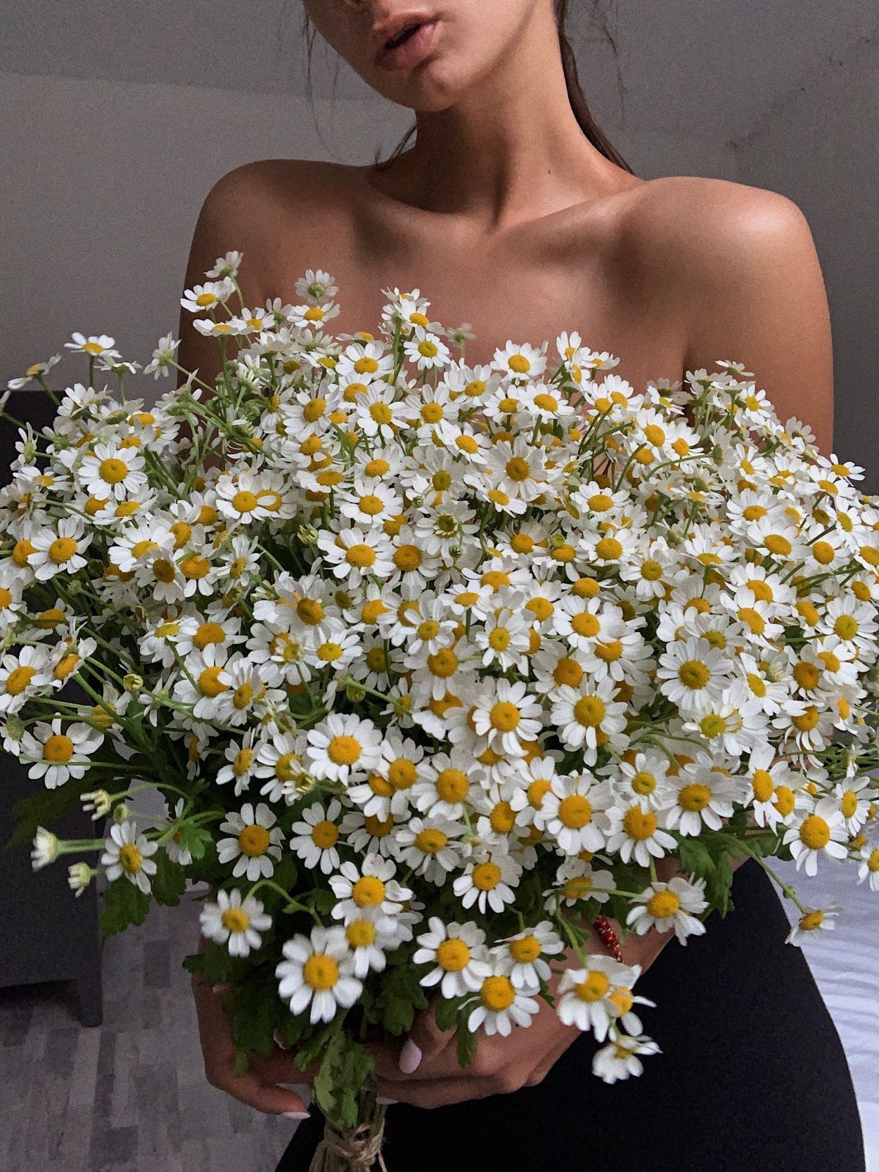 Огромная охапка ромашек