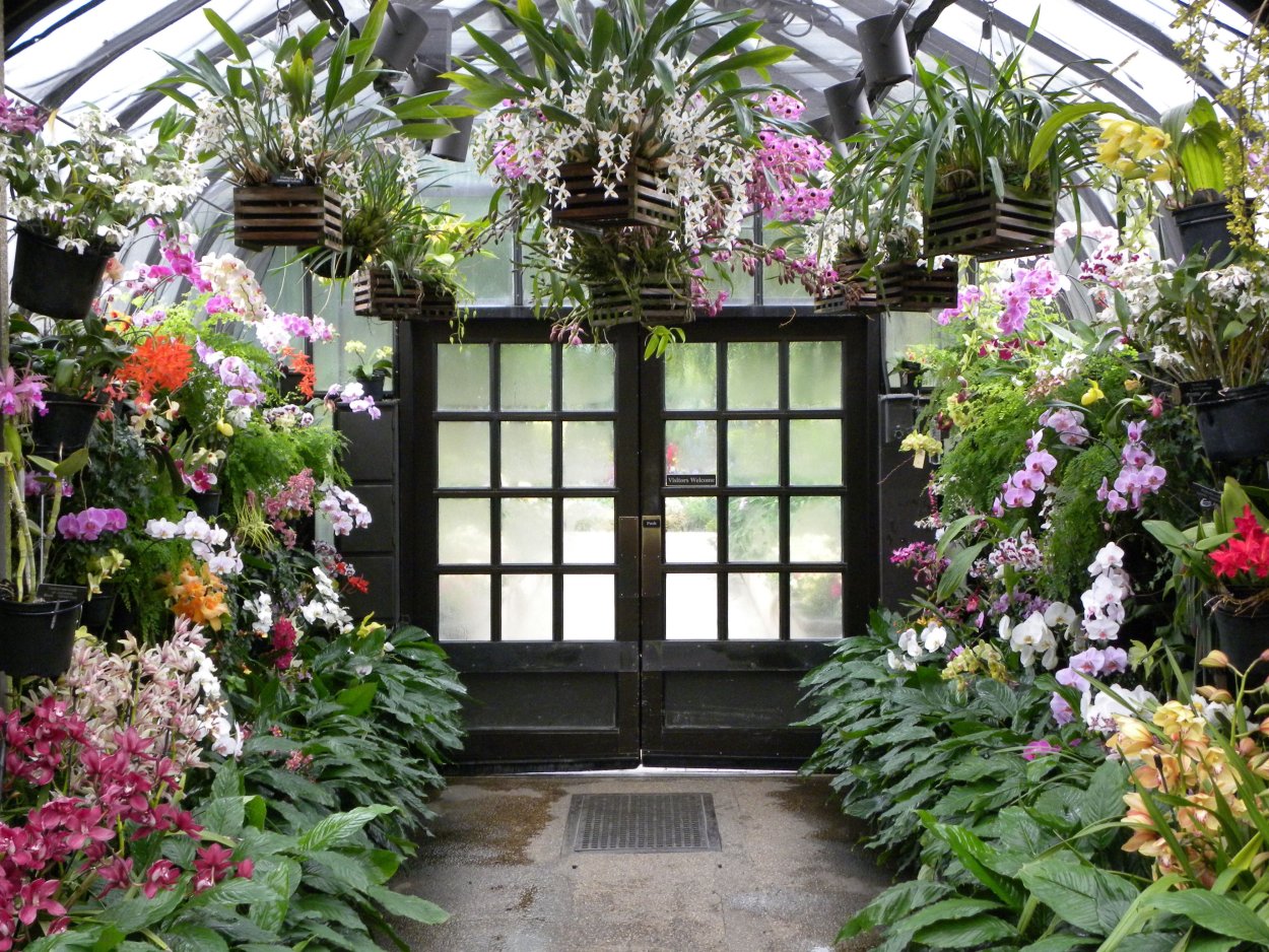 Orchid Garden