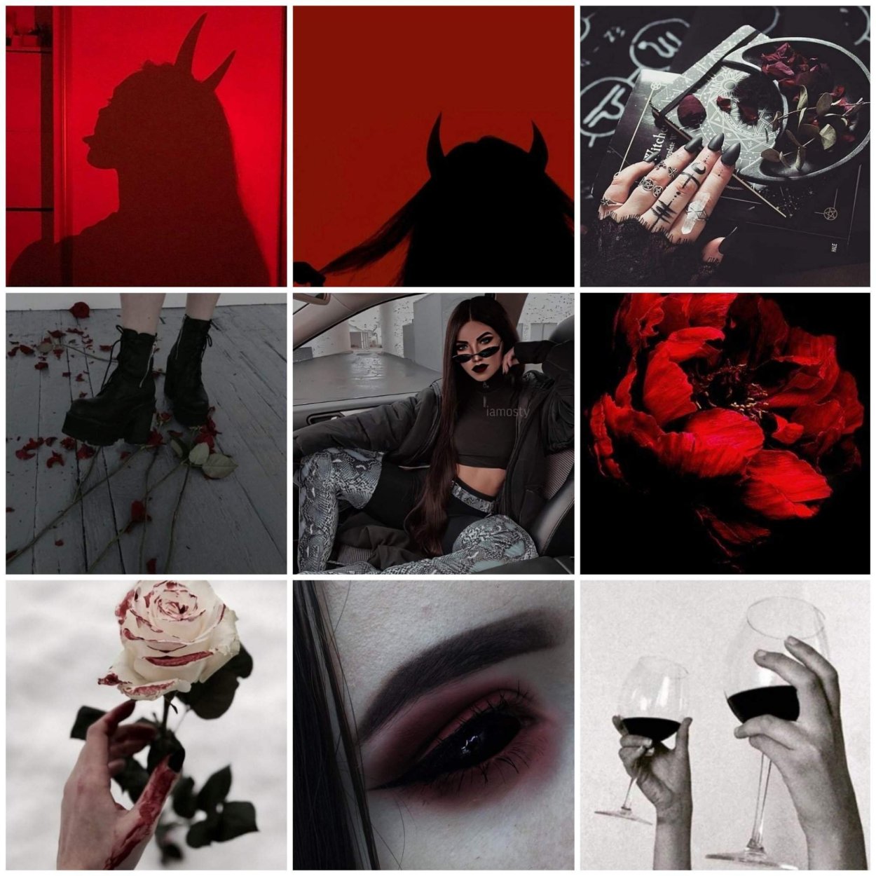 Черная Орхидея Такка корень