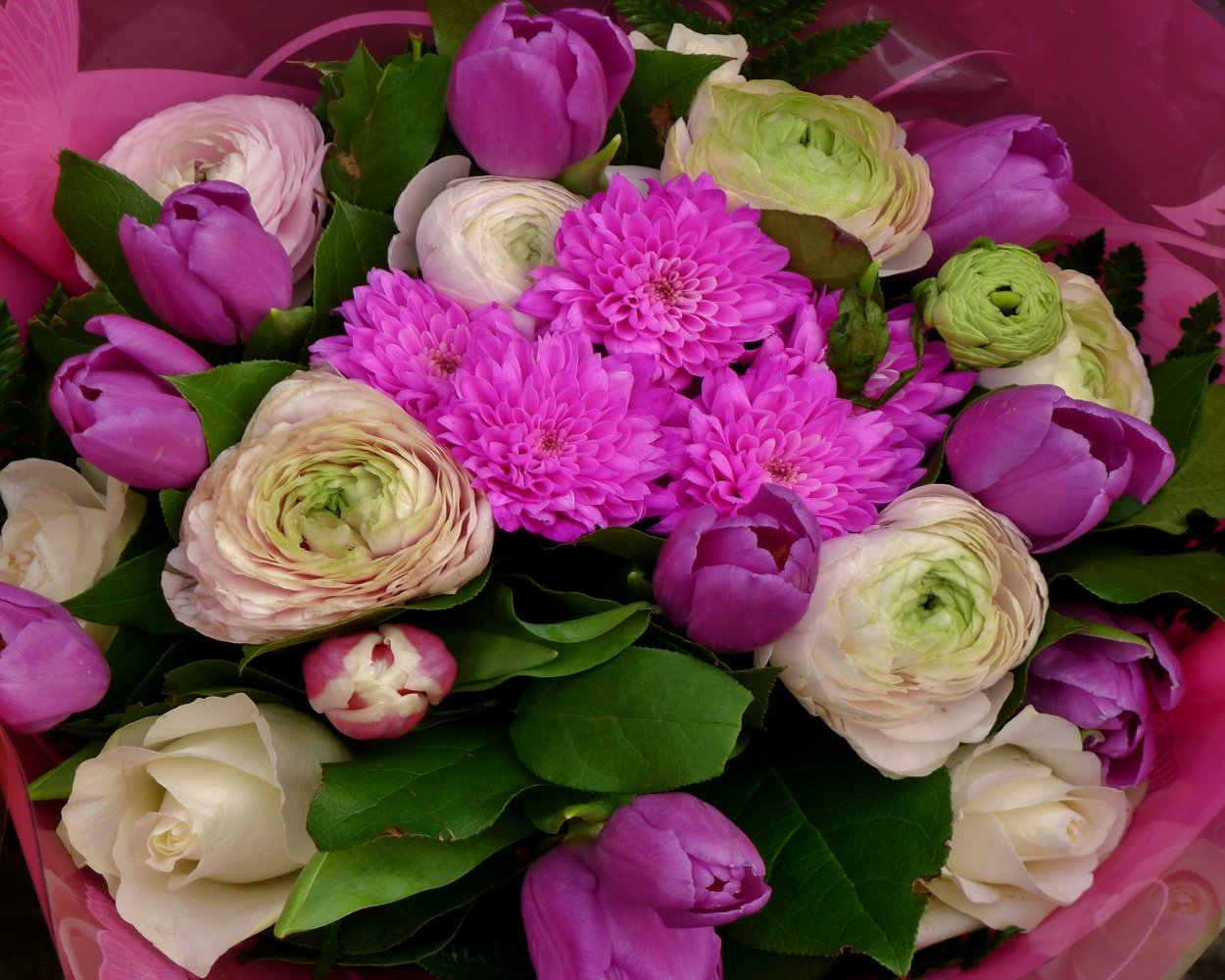 Ранункулюс и хризантемы