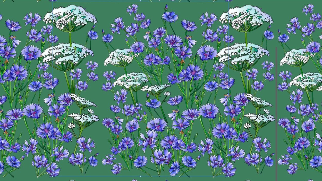 Растение с мелкими белыми цветочками