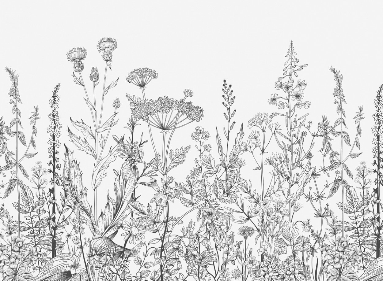 Васильки паттерн