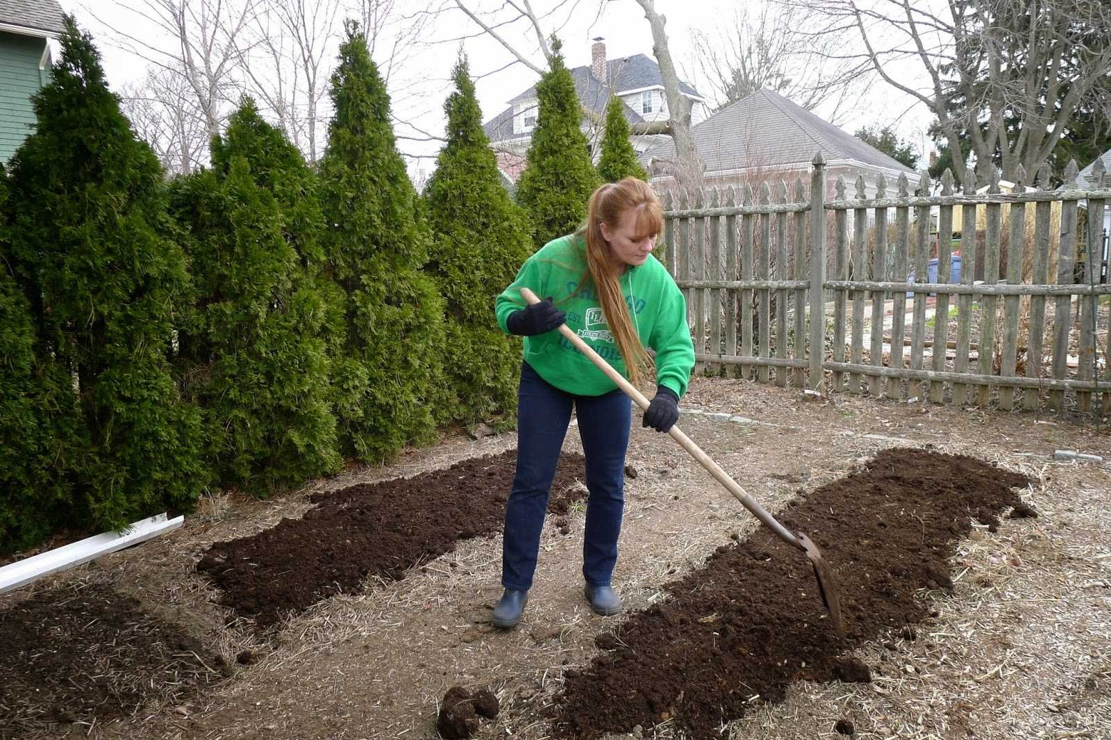 Посадить дерево выкопать. Копать грядки. Огород весной. Перекопанная грядка. Подготовка почвы под посадку.