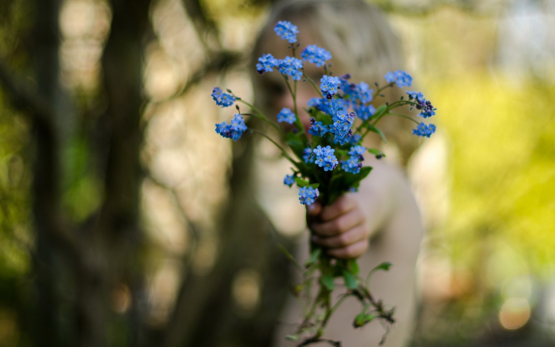 Бережно цветы. Голубые полевые цветы. Цветы незабудки. Незабудки в руках. Букетик незабудок.