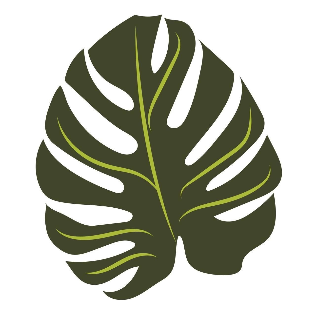 Листья svg. Monstera Leaf. Тропические растения силуэт. Силуэт листьев.