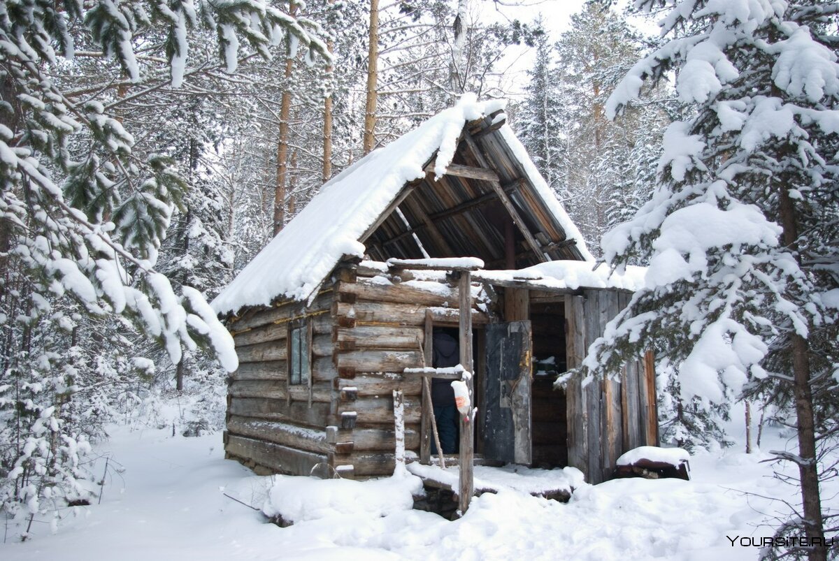 Домик лесника в тайге