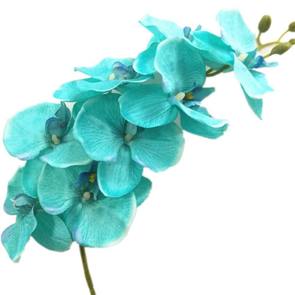 Название бирюзовых цветов. Бирюзовая Орхидея фаленопсис. Фаленопсис Аквамарин. Орхидея фаленопсис голубая. Аквамариновая Орхидея.