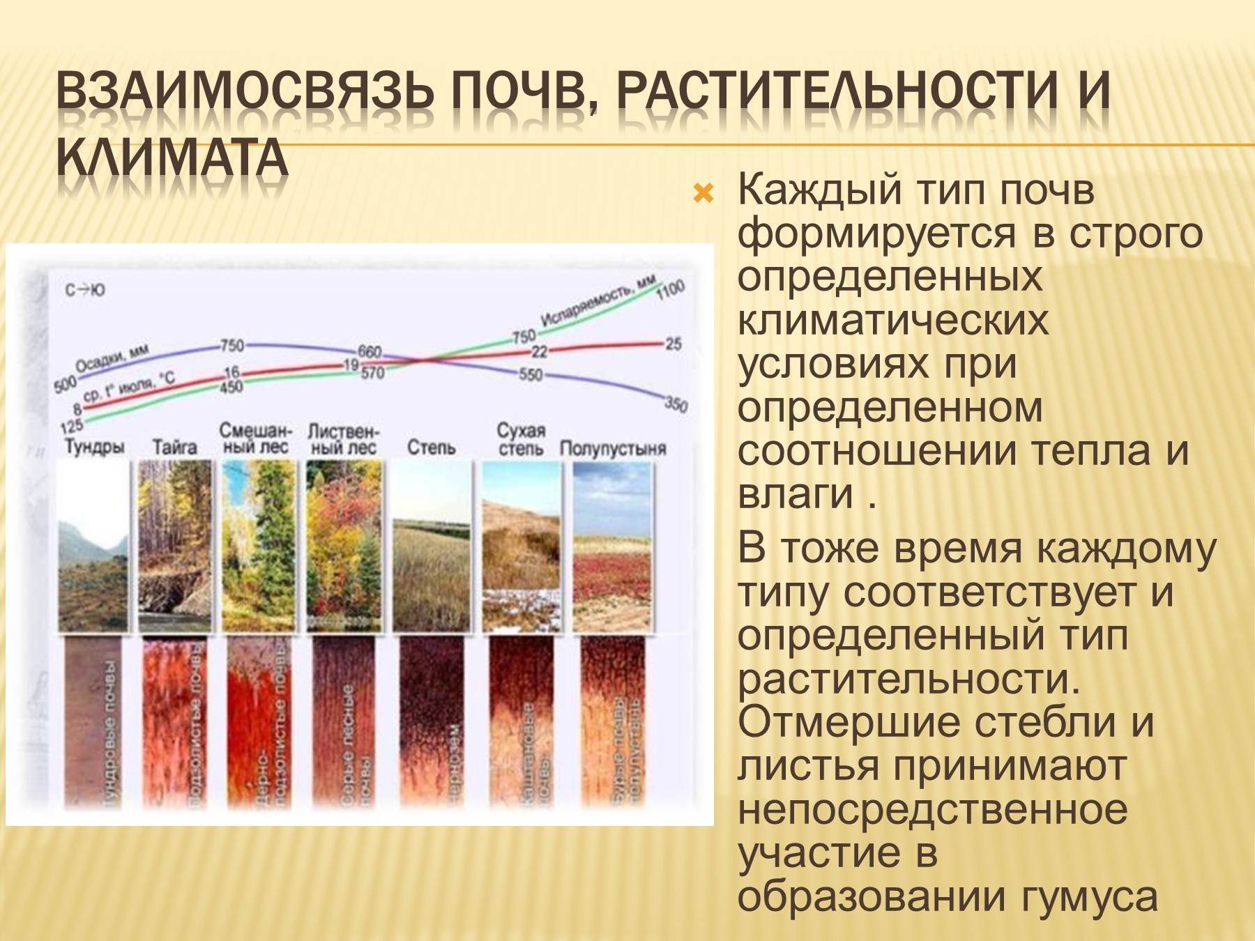 Преобладающей природной. Взаимосвязь типов почв свойствами и растительность. Типы почв России 8 типов почв. Взаимосвязь почв растительности и климата. Взаимосвязь типов почв с климатом и растительностью.