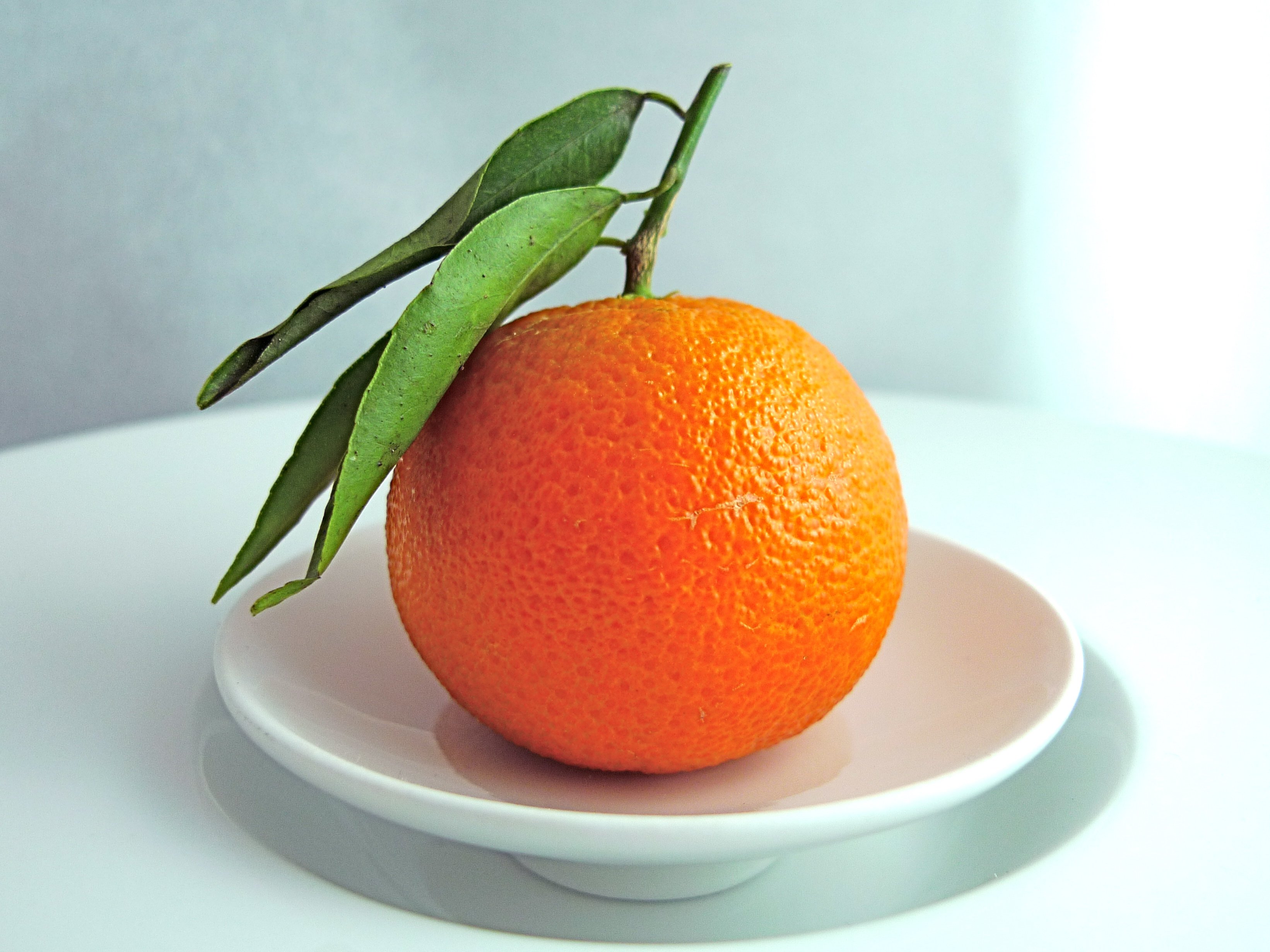 Мандарины на тарелке. Тарелка "апельсин". Мандарины в тарелке. Апельсин один. Мандарин один.