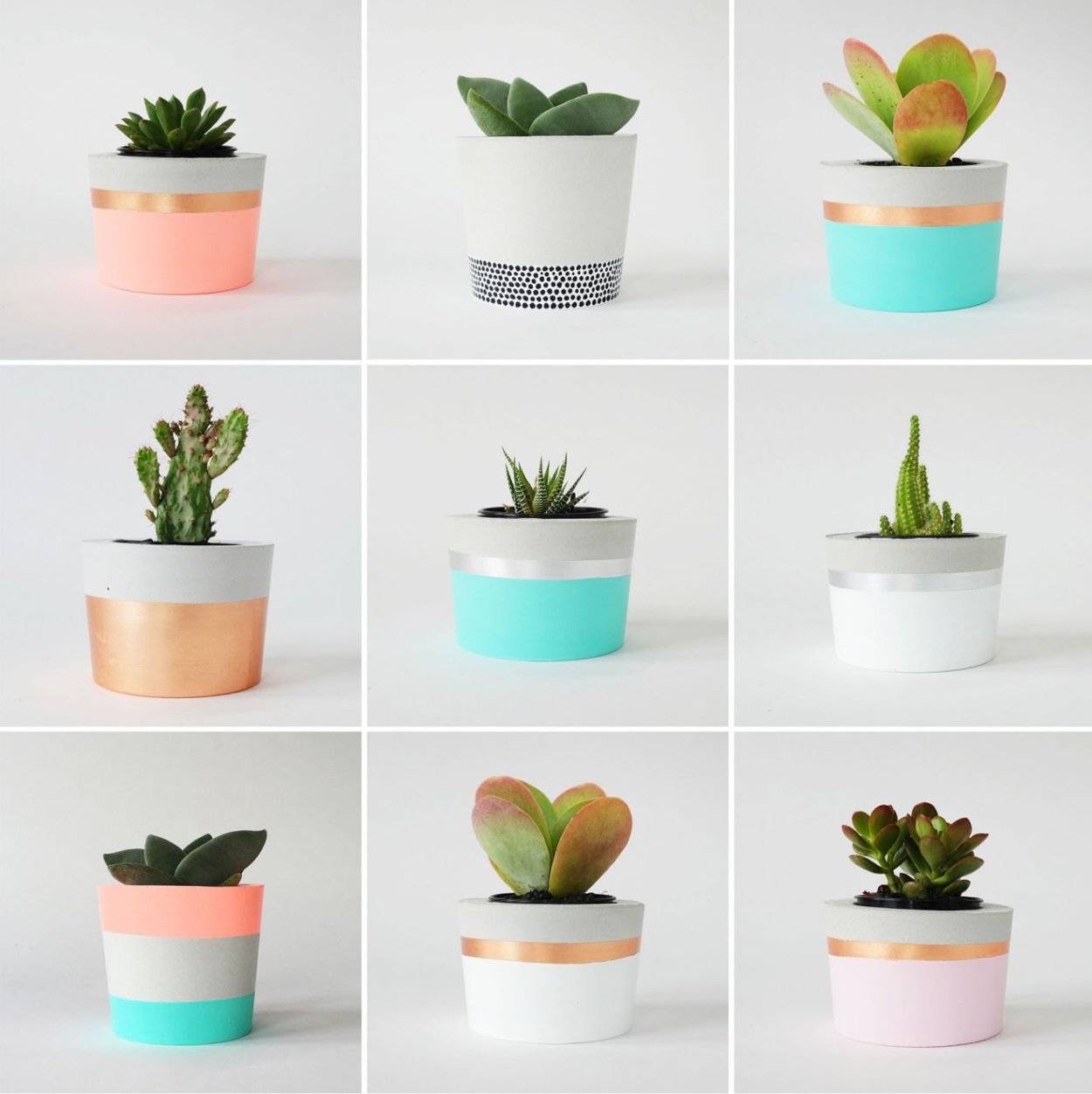 Succulent Pot