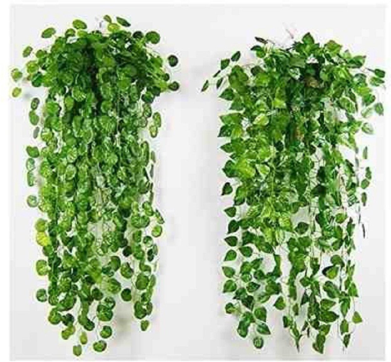 Цветы висячие с зубчиками