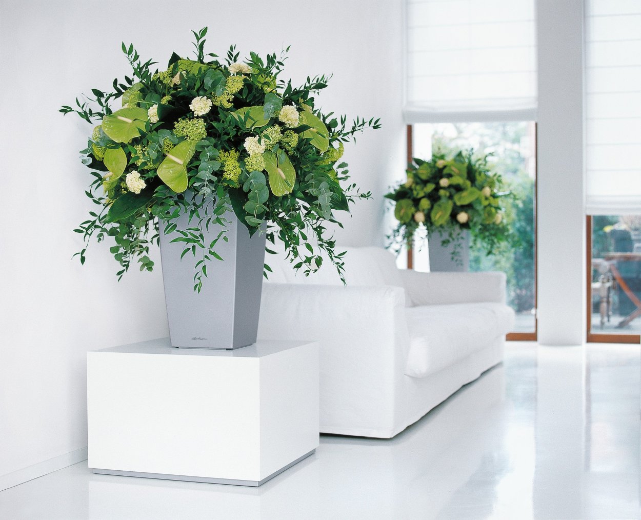 Лечуза Кубико серебро