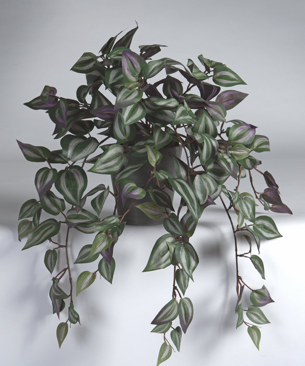 Икеа традесканция