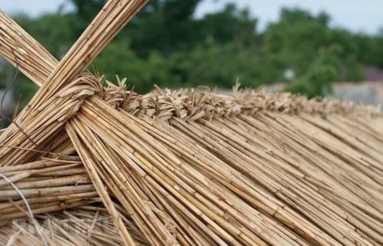 Солома на крыше