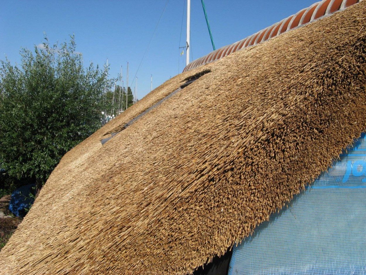 Камышовая (тростниковая) крыша