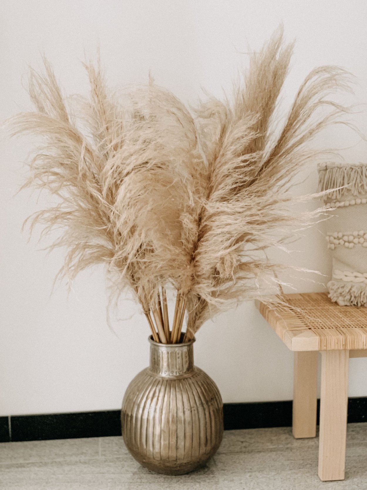 Пампасная трава cухоцвет