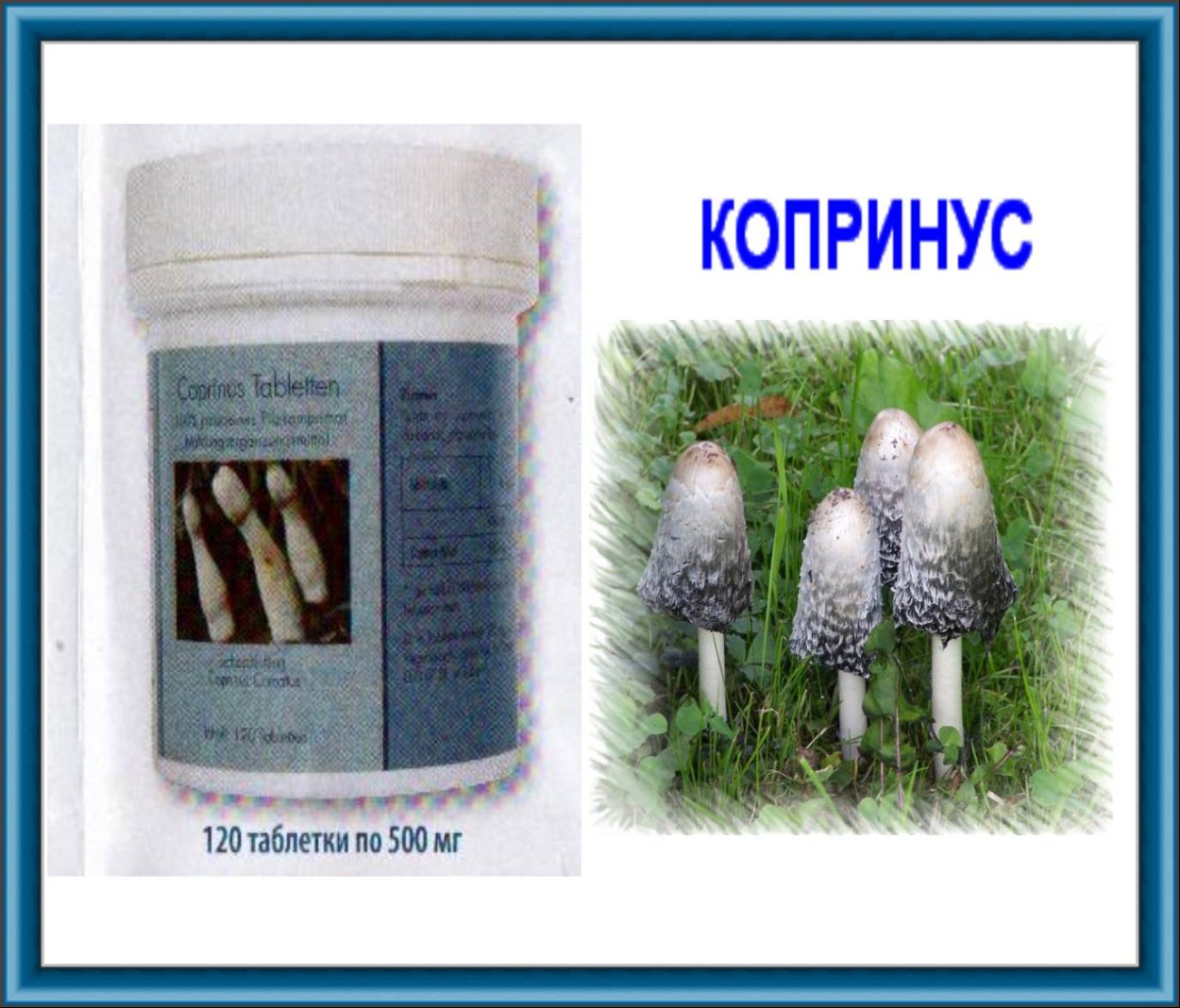 Копринус лекарство