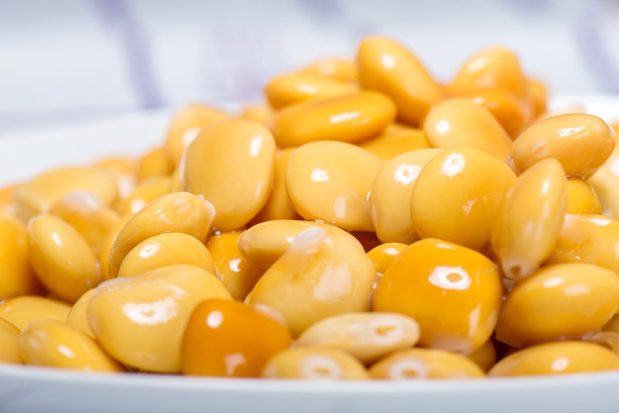 Люпин Бобы люпина