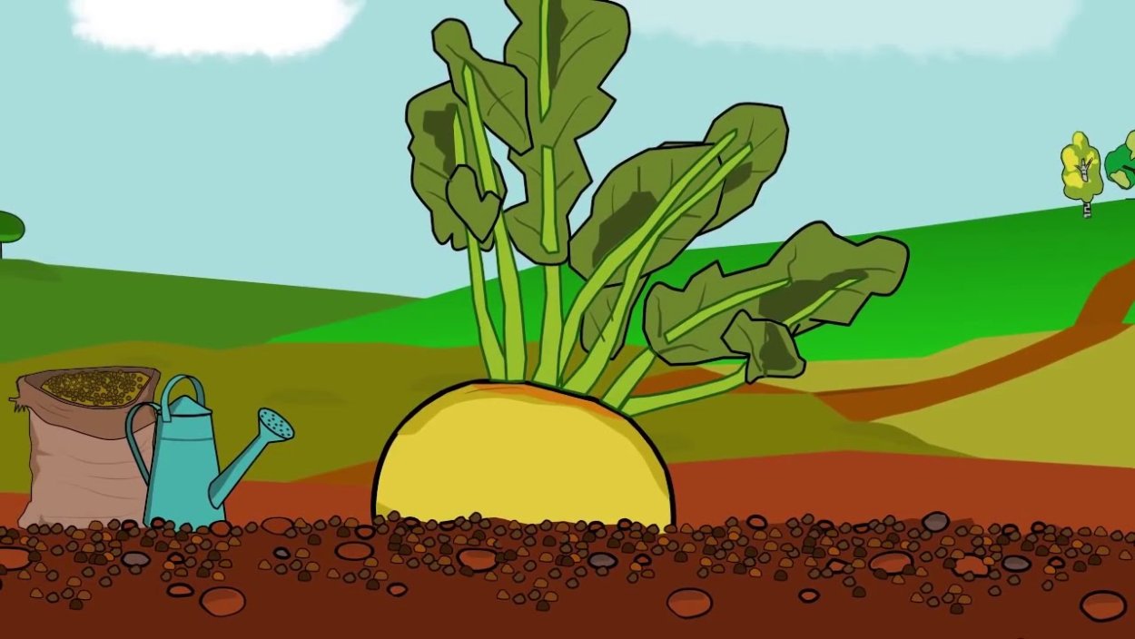 Репка в огороде