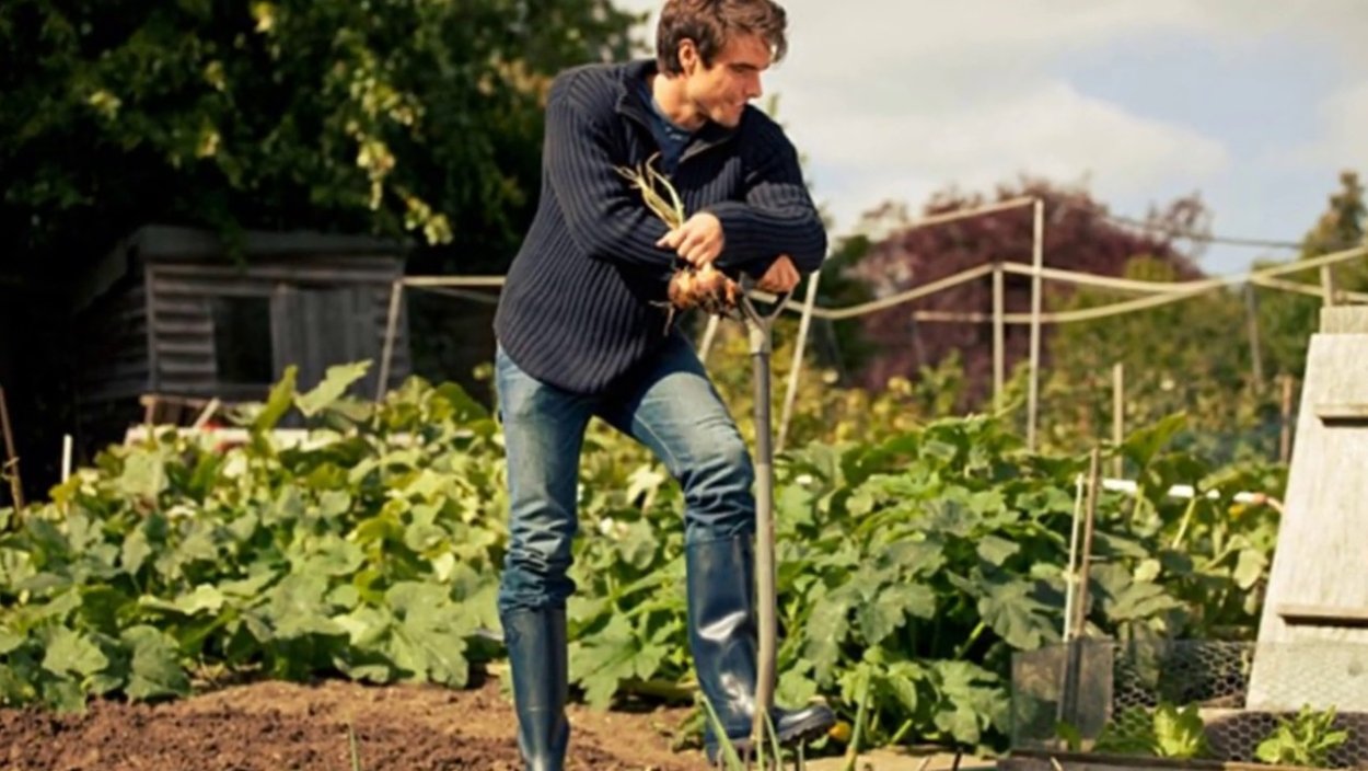 Мужик копает грядки