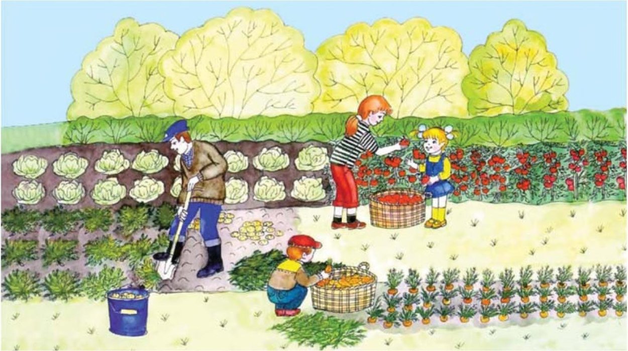 Рисование огород