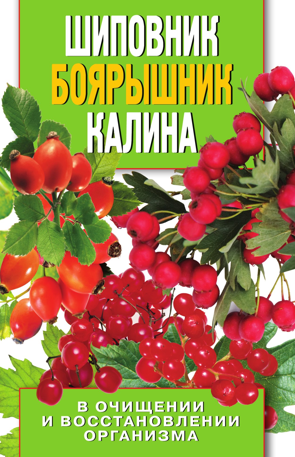 Калина и боярышник