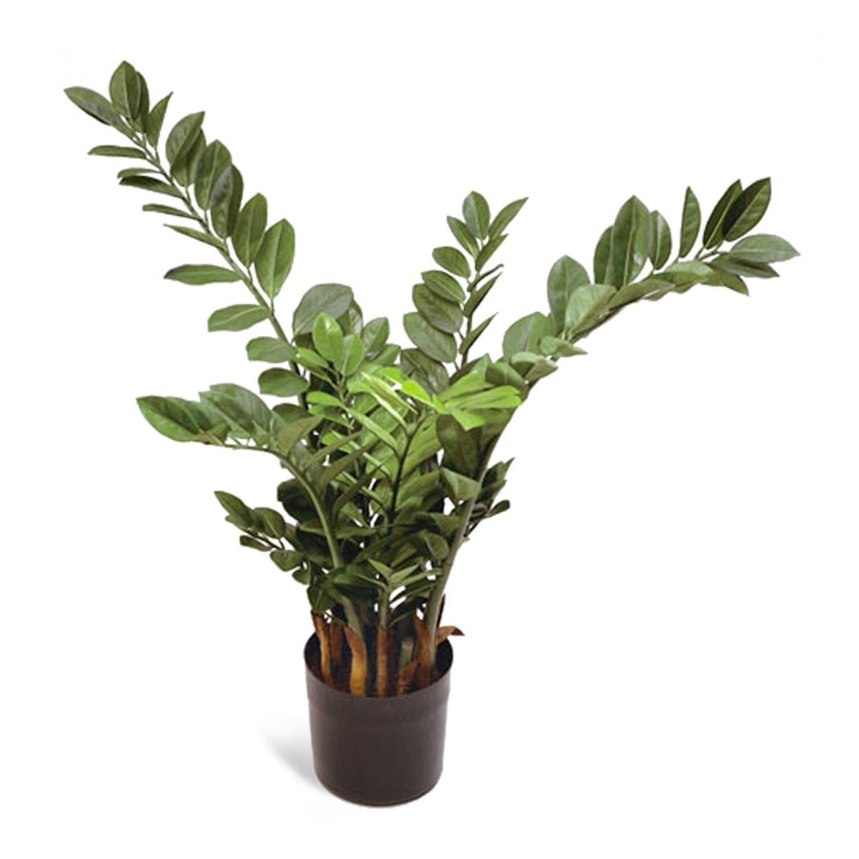 Замиокулькас кустовой искусственный