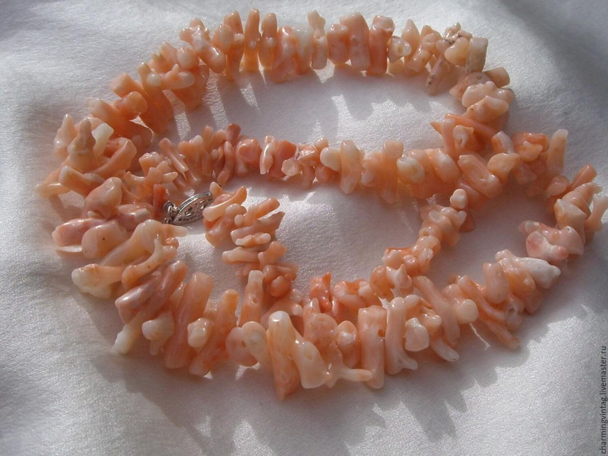 Кусок коралла