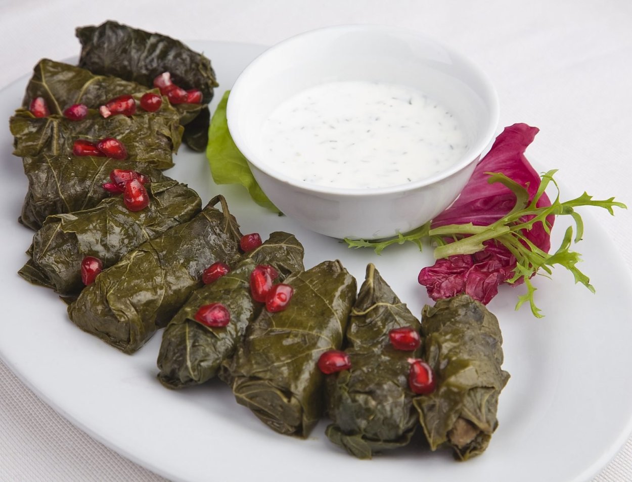 Долма Лахоны