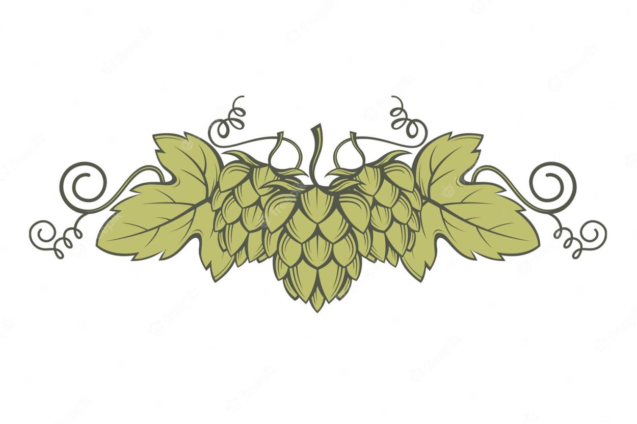 Хмель орнамент