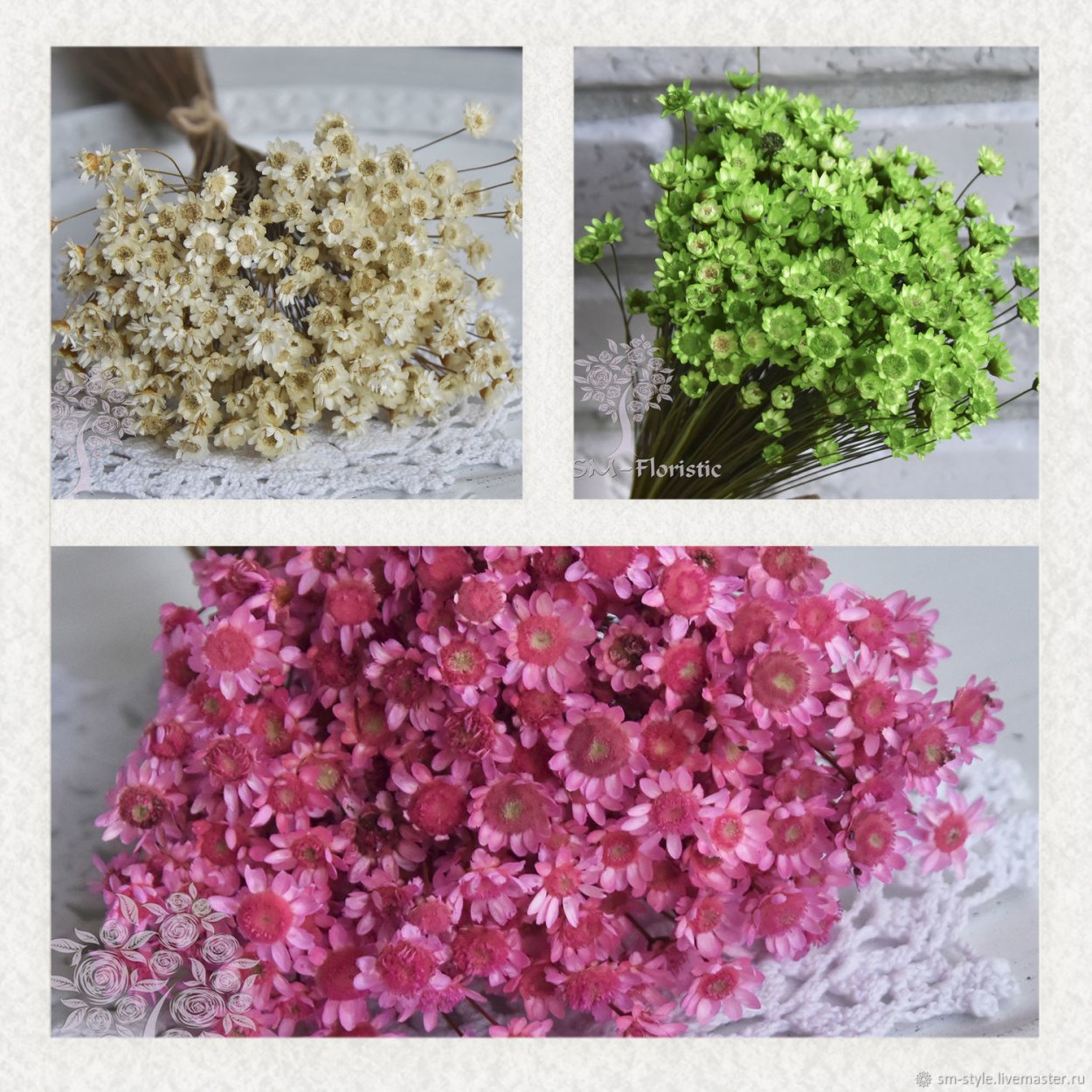 Сухоцветы цветные мелкие