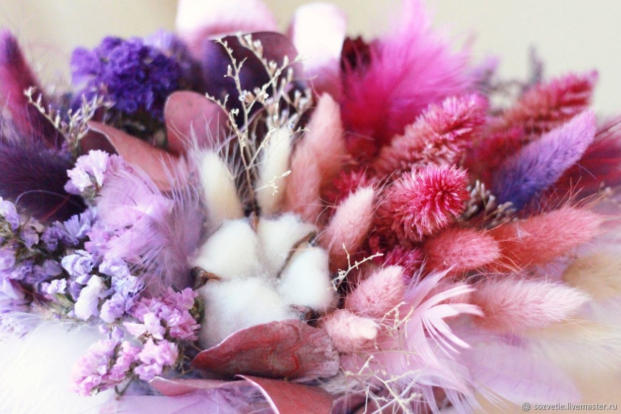 Лагурус cухоцвет