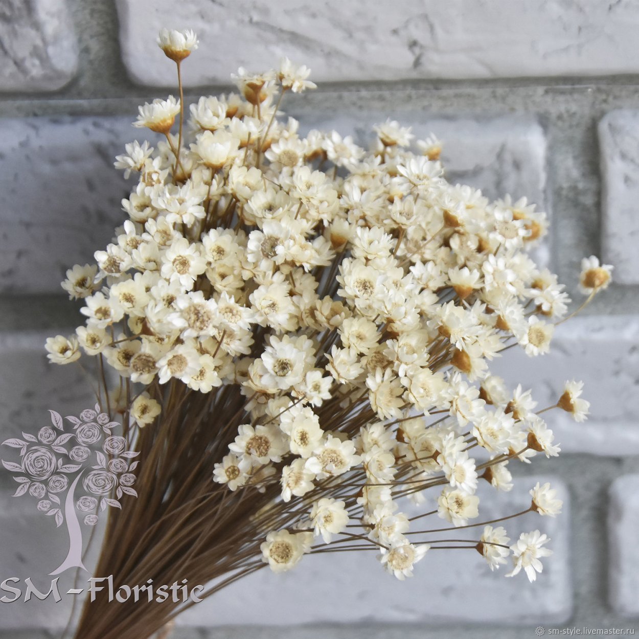 Glixia Гликсия