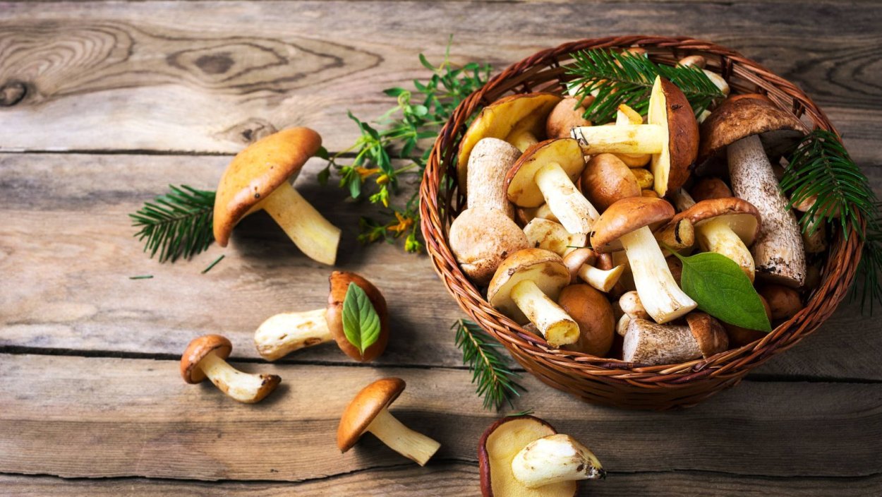 Картофель с грибами на деревянном столе