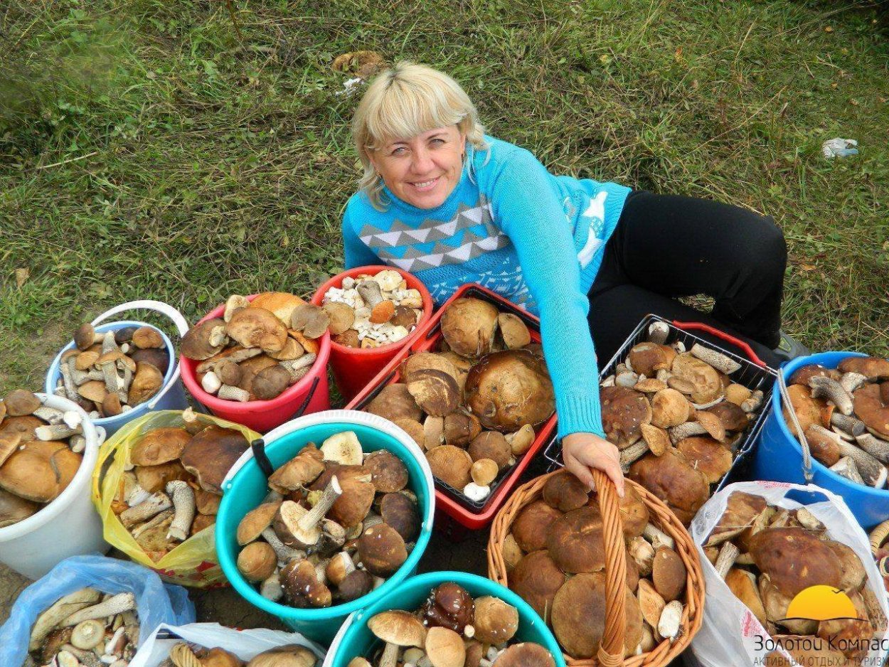 Собираемся за грибами