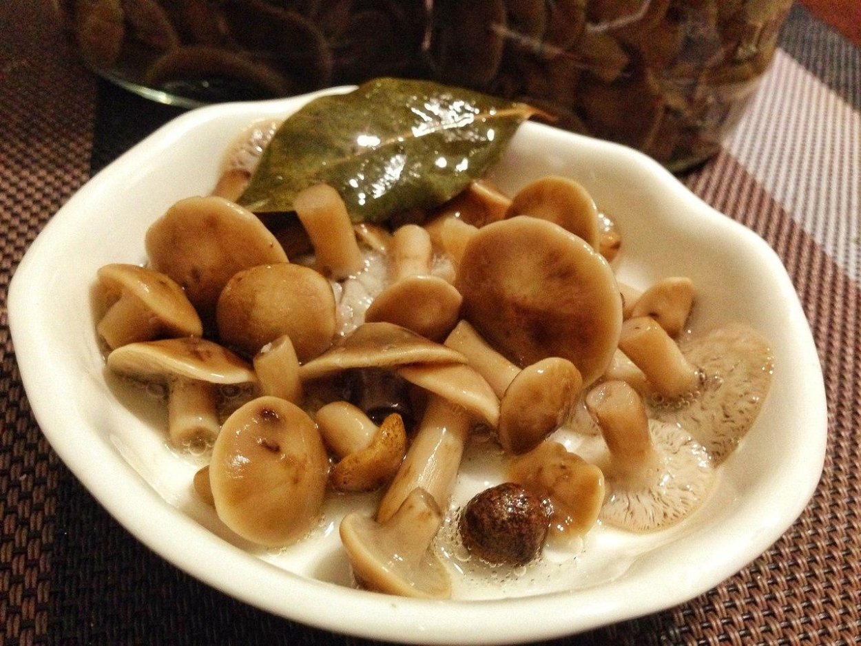 Грибы опята соленые