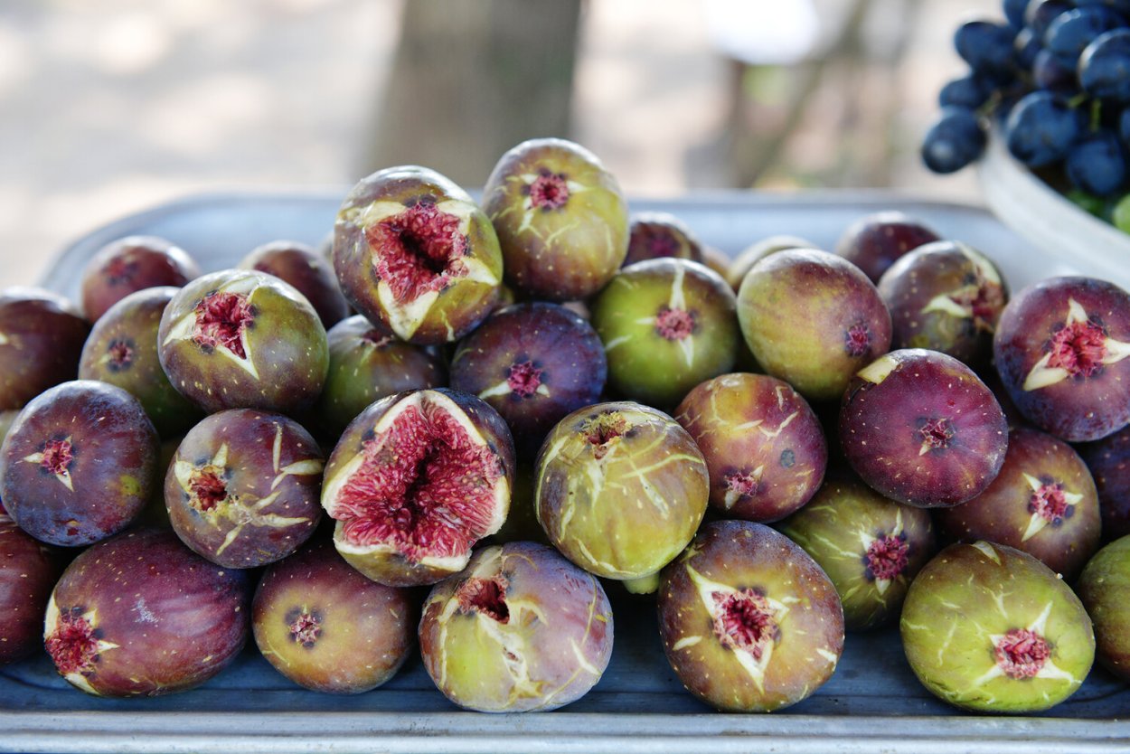 Инжир Абхазский фиолетовый