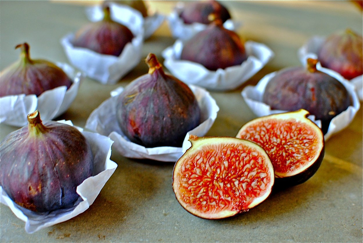 Инжир Lebanese Black