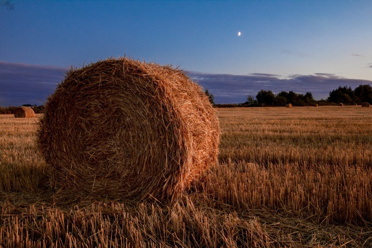 Стог соломы