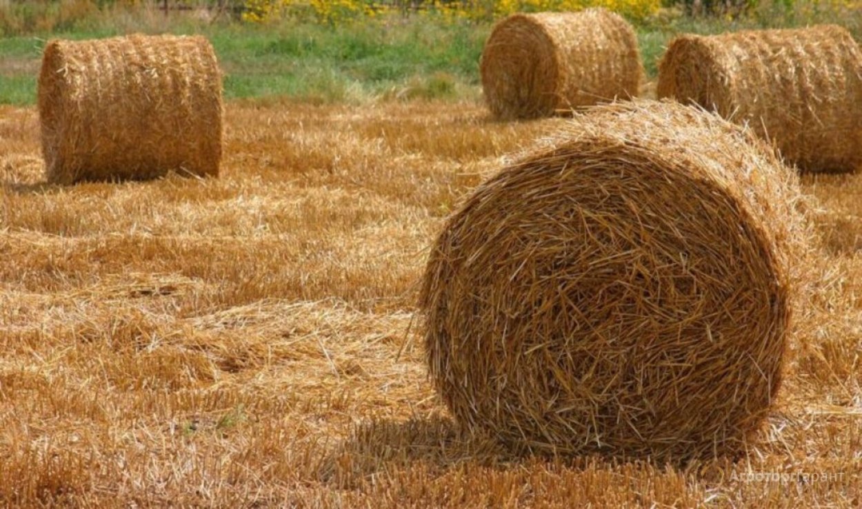 Солома в рулонах