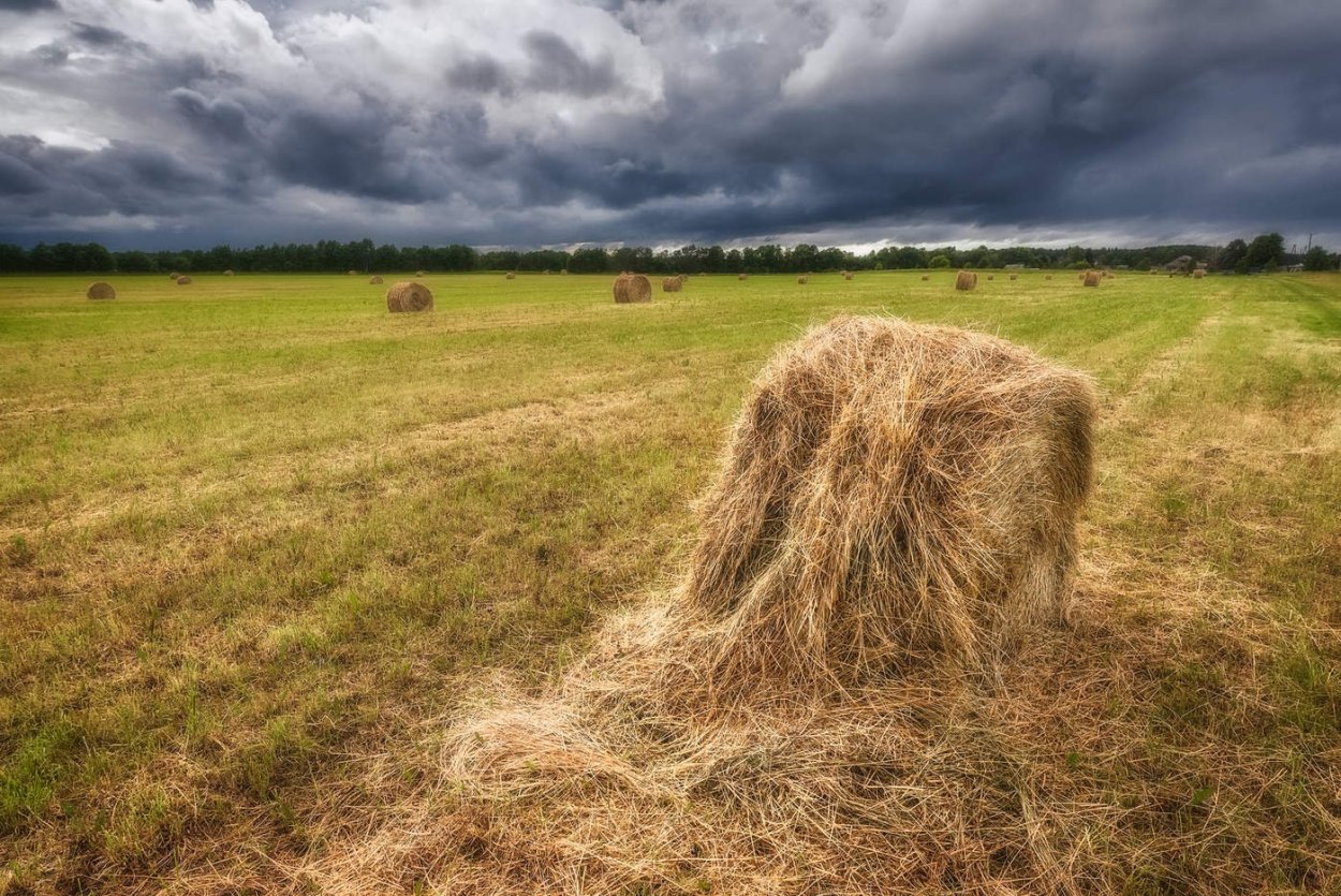 Стог сена Эстетика